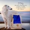 Essential Nautical Living 10 kg | Salmon, Trout & Cod | Grain-Free Dog Food for Large Dogs | High Fish Content with Naturally Occurring Omega-3 Fatty Acids | Based on the BOF Principle view 2