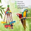 Multicolored Parrot Chew Toy view 4