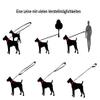 Adjustable Rubberized Double Dog Leash, Blue, 2.80 m view 4