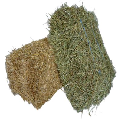 agrar-Store 10 kg Straw + 10 kg Hay – Hay and Straw Combination – Straw Bale, Hay Bale, Rabbit Straw, Guinea Pig Straw, Rabbit Hay, Guinea Pig Hay, 2023 Harvest