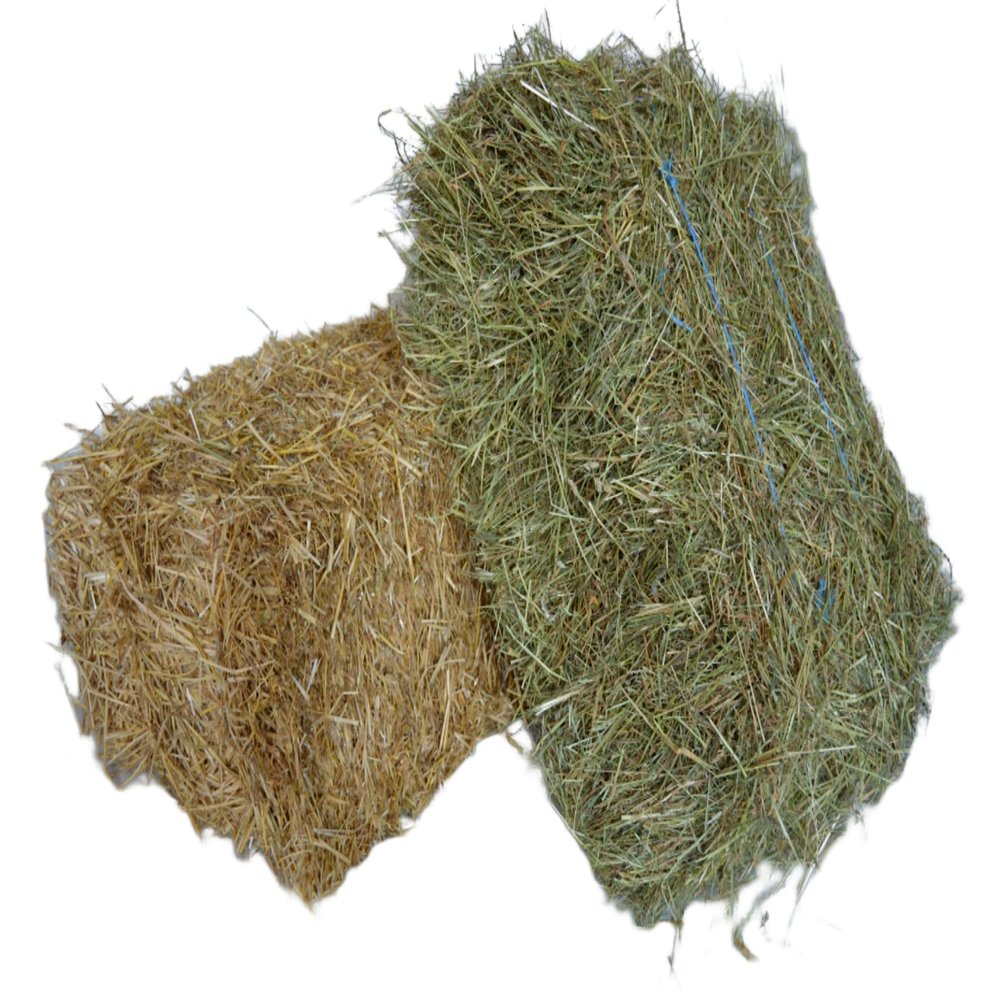 agrar-Store 10 kg Straw + 10 kg Hay – Hay and Straw Combination – Straw Bale, Hay Bale, Rabbit Straw, Guinea Pig Straw, Rabbit Hay, Guinea Pig Hay, 2023 Harvest