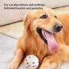 Indestructible Dog Ball for Large Dogs view 2
