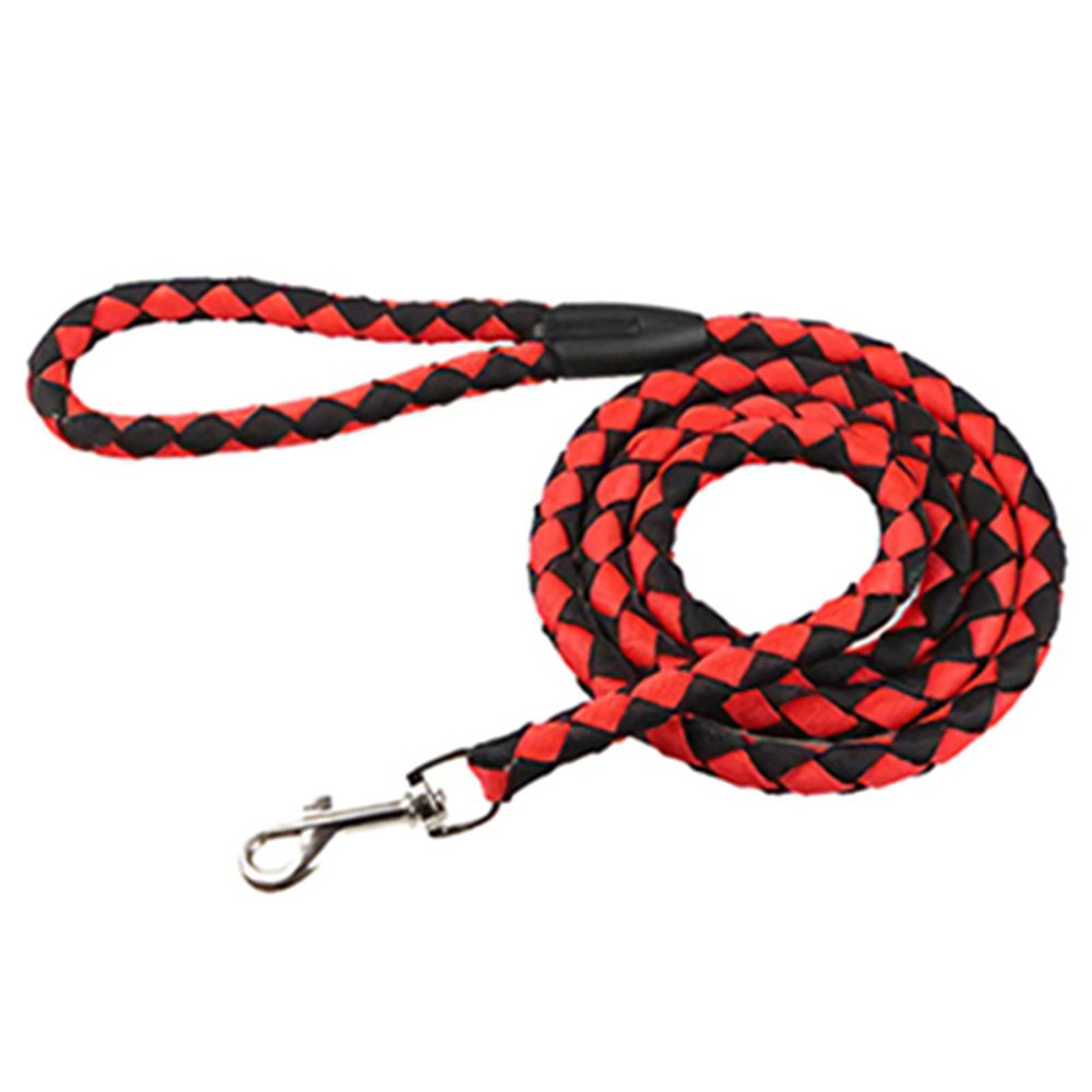 Nylon Dog Leash 5ft