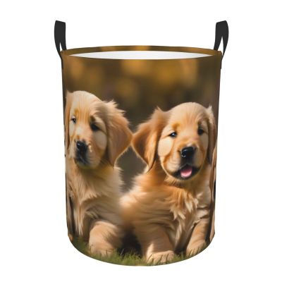 Golden Retriever Storage Basket for Dogs, Puppies & Pets