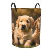 Golden Retriever Storage Basket for Dogs, Puppies & Pets view 2