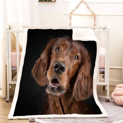 Irish Setter 3D Sherpa Fleece Blanket, 130 x 150 cm