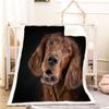 Irish Setter 3D Sherpa Fleece Blanket, 130 x 150 cm view 1
