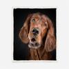 Irish Setter 3D Sherpa Fleece Blanket, 130 x 150 cm view 3