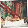 POPETPOP Thickened Double-Sided Hamster Hammock Bed for Cages, Green view 4