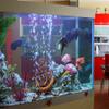 Natural Large Driftwood for Aquarium and Reptile Decor view 4