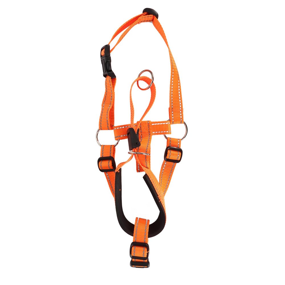 Adjustable Nylon Dog Muzzle Halter with Head-Control Leash, Size L
