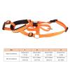 Adjustable Nylon Dog Muzzle Halter with Head-Control Leash, Size L view 4