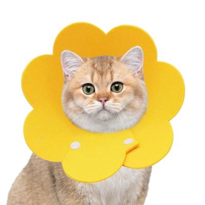 Protective Collar for Dogs | Elizabethan Recovery Cone for Cats
