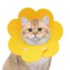 Protective Collar for Dogs | Elizabethan Recovery Cone for Cats view 1