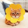 Protective Collar for Dogs | Elizabethan Recovery Cone for Cats view 3