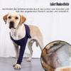 DONGKER Left Front Leg Sleeve for Dogs view 4