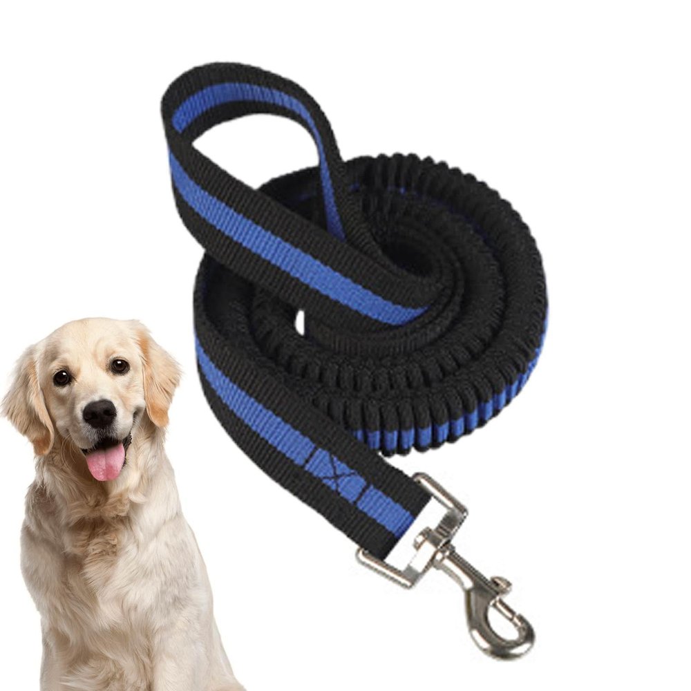 Dog Training | Telescopic Handle with Comfortable Padded Grip