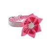 Newtensina Soft Dog Collar with Floral Decoration for Small Dogs - Pink - XS view 1