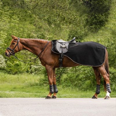 Modern Ros Riding Blanket