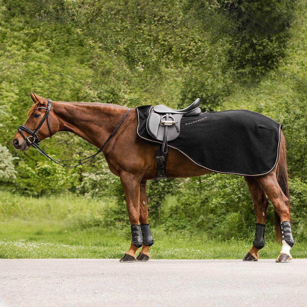 Modern Ros Riding Blanket