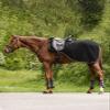 Modern Ros Riding Blanket view 1