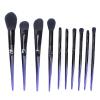 10-Piece Professional Makeup Brush Set, Soft Fiber Brushes for Hair, Eyeshadow, Blush and Makeup view 1