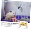 POPETPOP Yellow Pet Bed, Breathable, 1 Pc., Cotton Fabric with Wood view 4