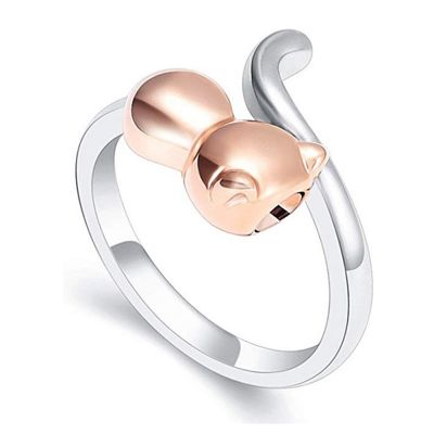 DOTUIARG Adjustable Cremation Urn Ring for Pet Ashes
