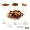 UGF Insect Mix – 80 g in a 500 ml Bucket, Hedgehog, Gerbil, Hamster, Rat & Lizard Food – Mealworms, Soldier Fly Larvae, Silkworms view 3