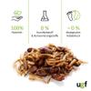 UGF Insect Mix – 80 g in a 500 ml Bucket, Hedgehog, Gerbil, Hamster, Rat & Lizard Food – Mealworms, Soldier Fly Larvae, Silkworms view 4