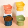 IUNSER Pet Water Bowl High Base Cat Bowl view 3