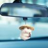 itrimaka Hamster Toy Car Ornament view 3