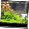10-Piece Plastic Worm Feeders with Suction Cups view 3