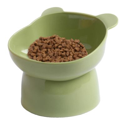 Tilted Elevated Cat Bowl