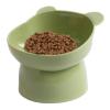 Tilted Elevated Cat Bowl view 1