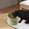 Tilted Elevated Cat Bowl view 2