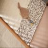 Jollein 008-524-67045 Crib Sheet Retro Flowers (120 x 150 cm) view 3