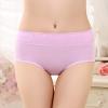 Women's Lace Cotton High-Waisted Briefs, Size 38 view 2