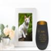 Pet Memorial Light with Saying, White Exterior/Gold Interior, Design 7, Personalized Name, 12 cm view 3