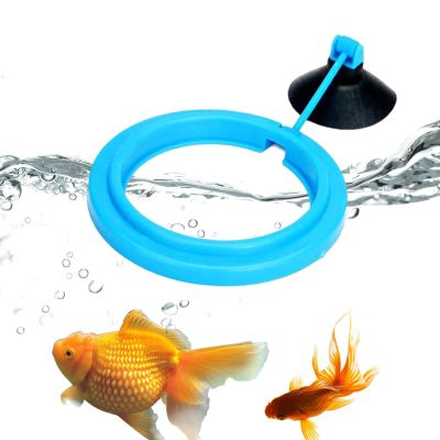 Floating Fish Feeding Ring