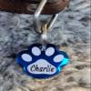 Personalized Stainless Steel Paw-Shaped Dog Tag view 2