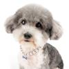 Zunea Pearl Necklace for Small Dogs and Cats with Bone Charm view 2