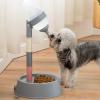 Automatic Pet Water Dispenser for Dogs and Cats (Dark Gray) view 2