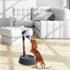 Automatic Pet Water Dispenser for Dogs and Cats (Dark Gray) view 4