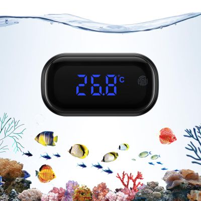 Brifit Mini Aquarium Thermometer