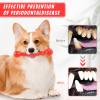 Durable Rubber Dog Chew Toy, Dental Care, Floating, Washable, 2 Pieces view 3