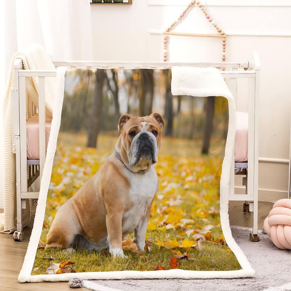 3D English Bulldog Plush Sherpa Blanket, 100 x 130 cm