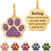Personalized Dog Tag with Engraving - Paw Shape 30mm view 1
