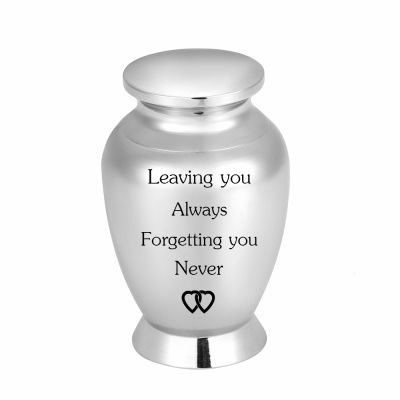 MYPOWER Zoll Stainless Steel Memorial Urn for Dog, Cat, or Human Ashes