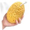 Beavorty 8-Pack Shower Sponges, Ergonomic Bath Sponges for Gentle Exfoliation and Daily Body Care with Hanging Loop and Quick-Drying Design view 4